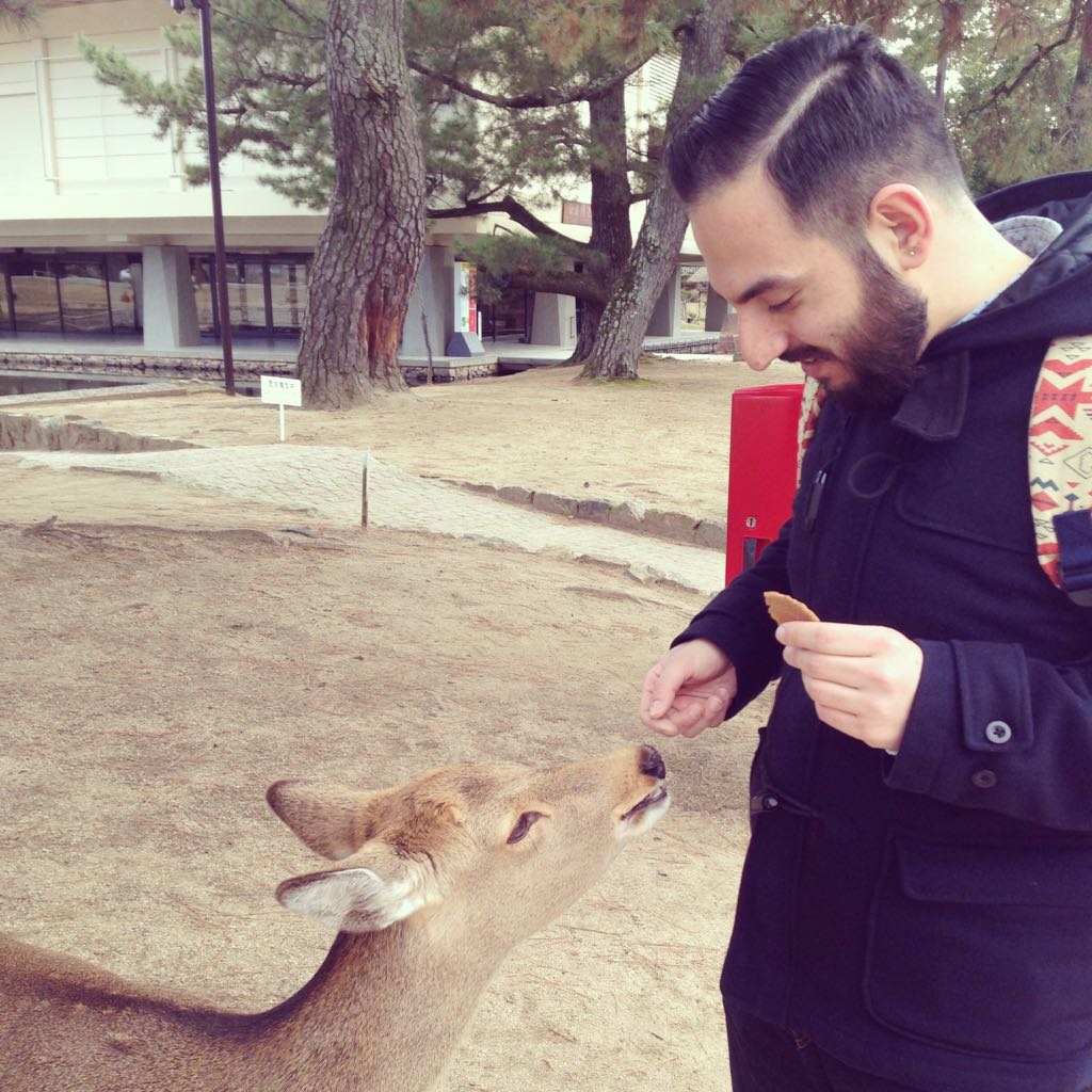 Dare da mangiare ai cervi di Nara